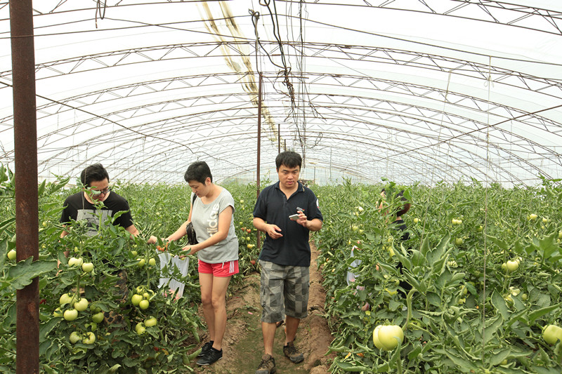 北京百得利奥迪4S店邀请新老客户到中国生态农业第一村——留民营试驾、采摘、垂钓