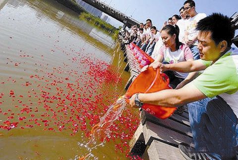 端午节来留民营生态农场包粽子吧 