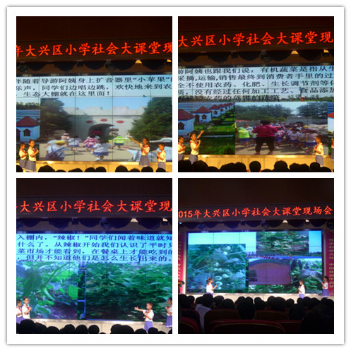 2015年大兴区小学生社会大课堂现场会