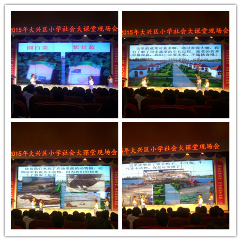2015年大兴区小学生社会大课堂现场会