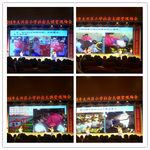 2015年大兴区小学生社会大课堂现场会