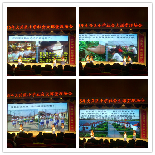 2015年大兴区小学生社会大课堂现场会
