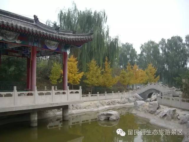 秋天来了，快来留民营寻找“秋”的味道