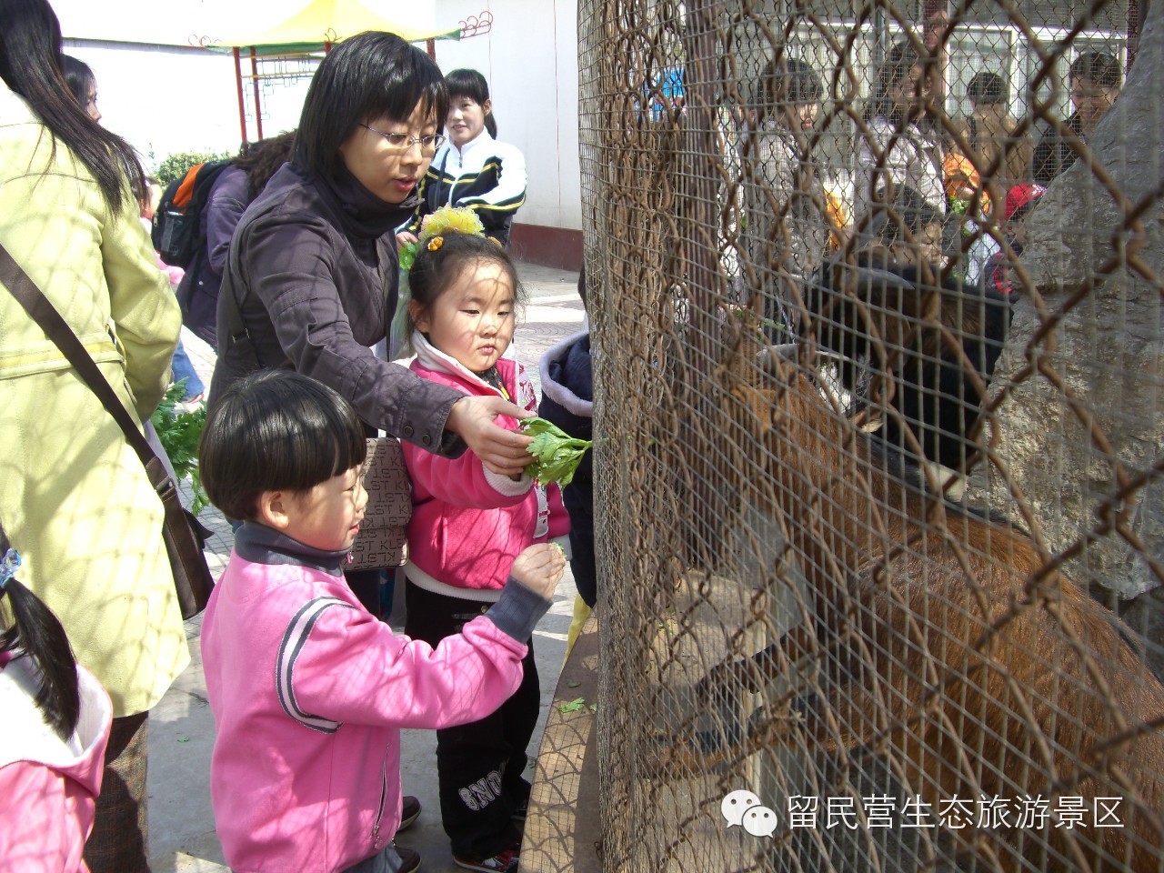 秋天来了，快来留民营寻找“秋”的味道