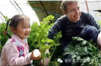 秋天来了，快来留民营寻找“秋”的味道