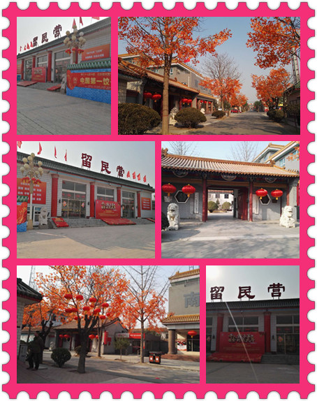千人饺子宴.集体过大年—正月十五闹花灯、包饺子、品元宵、抢红包！