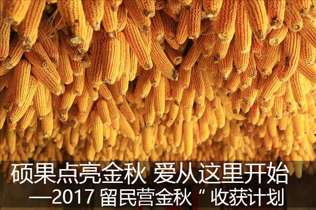 硕果点亮金秋 爱从这里开始——2017金秋“收获”计划